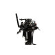 Лодочный мотор Gladiator G9.9PRO FHS, 2-х тактный