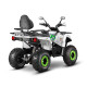 Квадроцикл GLADIATOR F200 LONG белый Квадроцикл GLADIATOR F200 LONG белый