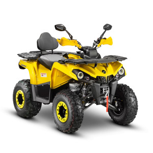 Квадроцикл GLADIATOR F200 LUX жёлтый (Тверь) Квадроцикл GLADIATOR F200 LUX жёлтый (Тверь)