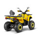 Квадроцикл GLADIATOR F200 LUX жёлтый (Тверь) Квадроцикл GLADIATOR F200 LUX жёлтый (Тверь)