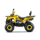 Квадроцикл GLADIATOR F200 LUX жёлтый (Тверь) Квадроцикл GLADIATOR F200 LUX жёлтый (Тверь)
