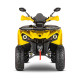 Квадроцикл GLADIATOR F200 LUX жёлтый (Тверь) Квадроцикл GLADIATOR F200 LUX жёлтый (Тверь)