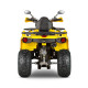 Квадроцикл GLADIATOR F200 LUX жёлтый (Тверь) Квадроцикл GLADIATOR F200 LUX жёлтый (Тверь)