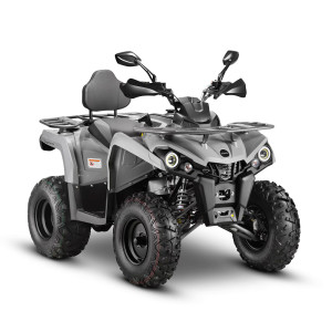 Квадроцикл GLADIATOR F200 серый (Тверь) Квадроцикл GLADIATOR F200 серый (Тверь)