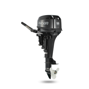 Подвесной лодочный мотор Parsun TE9.9 BMS Enduro, 2-тактный Подвесной лодочный мотор Parsun TE9.9 BMS Enduro, 2-тактный