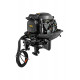 Лодочный мотор Reef Rider RR30FFES, 2-тактный Лодочный мотор Reef Rider RR30FFES, 2-тактный