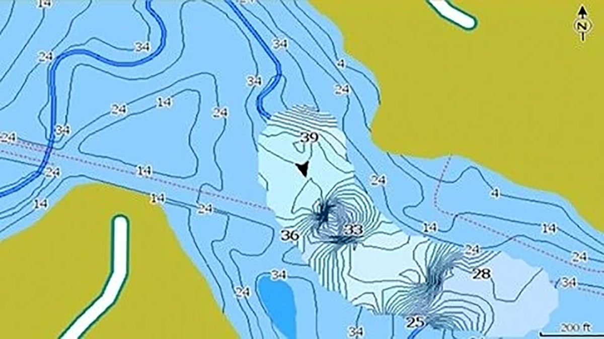 FishReveal на эхолоте Lowrance